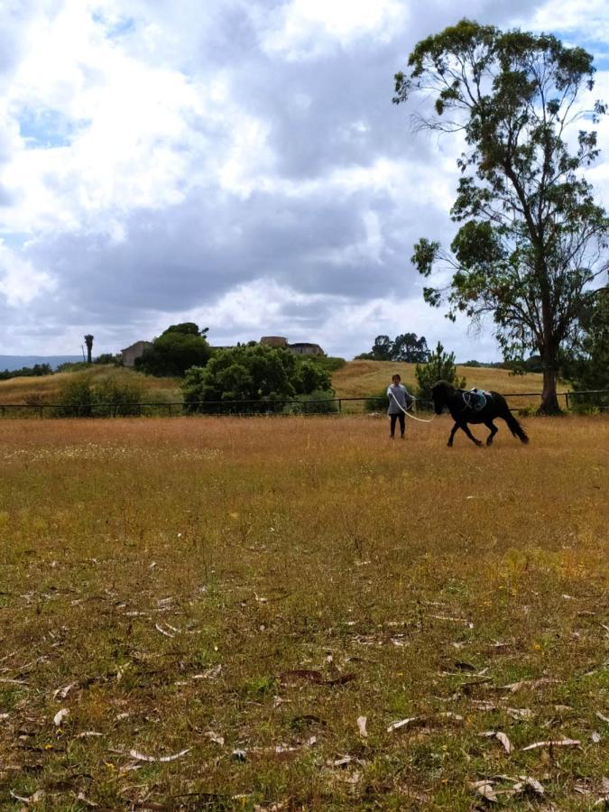 Herdade Da Hera Azambuja Bagian luar foto