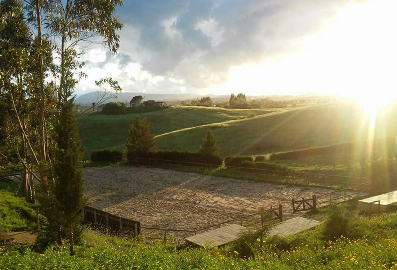 Herdade Da Hera Azambuja Bagian luar foto