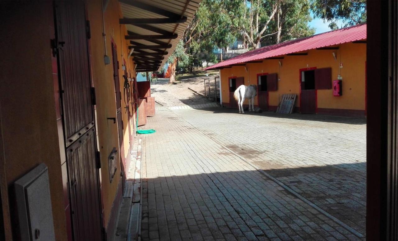 Herdade Da Hera Azambuja Bagian luar foto